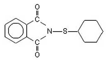 Antiscorching agent CTP (PVI) (powder) | CAS17796-82-6